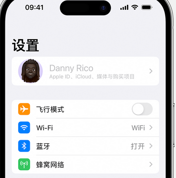 大路镇appleID维修服务iPhone设置中Apple ID显示为灰色无法使用