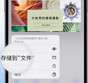 大路镇apple维修中心分享iPhone文件应用中存储和找到下载文件