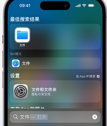 大路镇apple维修中心分享iPhone文件应用中存储和找到下载文件