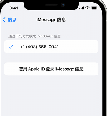 大路镇apple维修iPhone上无法正常发送iMessage信息 