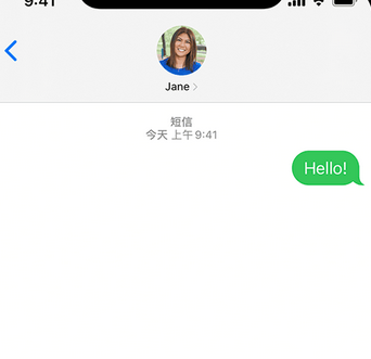 大路镇apple维修iPhone上无法正常发送iMessage信息