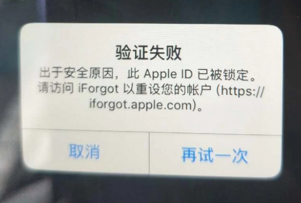 大路镇iPhone维修分享iPhone上正常登录或使用AppleID怎么办 