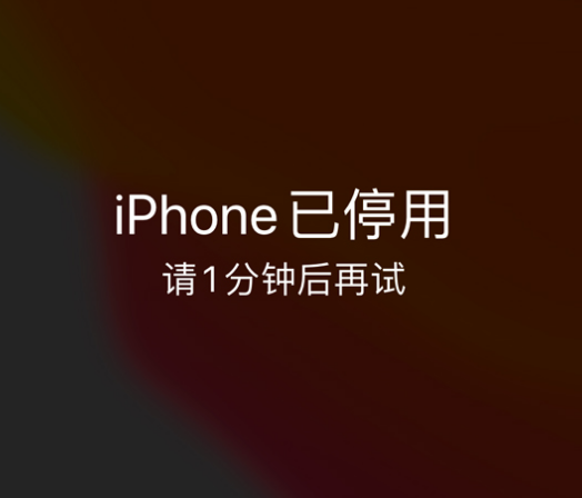 大路镇苹果手机维修分享:iPhone 显示“不可用”或“已停用”怎么办？还能保留数据吗？ 