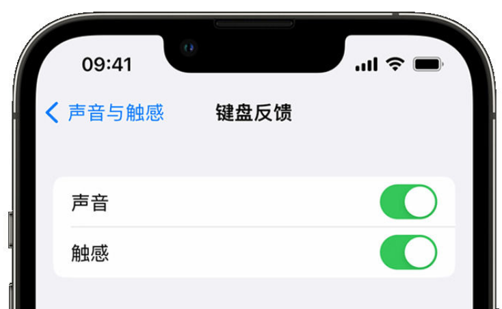 大路镇苹果手机维修分享iPhone 14触感键盘使用方法 