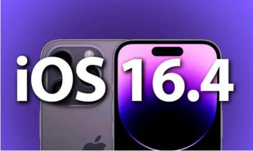 大路镇苹果14维修分享：iPhone14可以升级iOS16.4beta2吗？ 