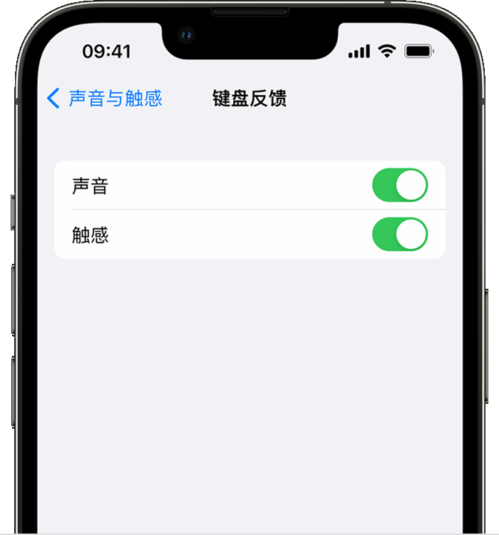 大路镇苹果14维修店分享如何在 iPhone 14 机型中使用触感键盘 