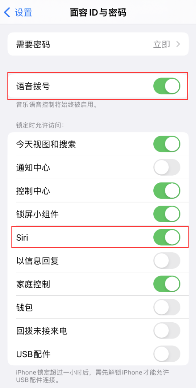 大路镇苹果维修网点分享不解锁 iPhone 的情况下通过 Siri 拨打电话的方法 