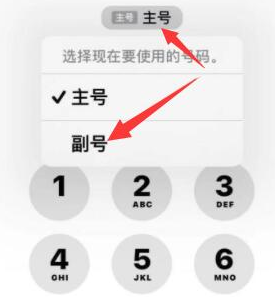 大路镇苹果14维修店分享iPhone 14 Pro Max使用副卡打电话的方法 