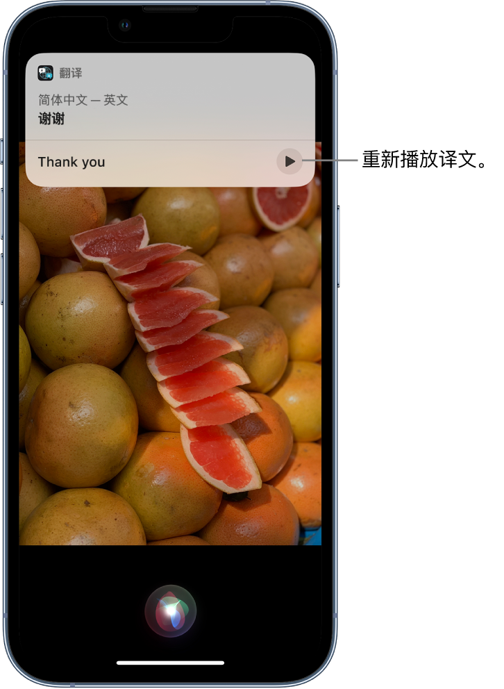 大路镇苹果14维修分享 iPhone 14 机型中使用 Siri：了解 Siri 能帮你做什么 