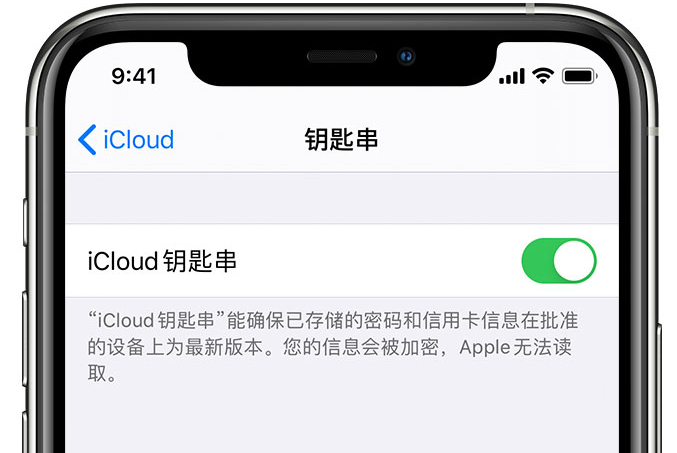 大路镇苹果手机维修分享在 iPhone 上开启 iCloud 钥匙串之后会储存哪些信息 