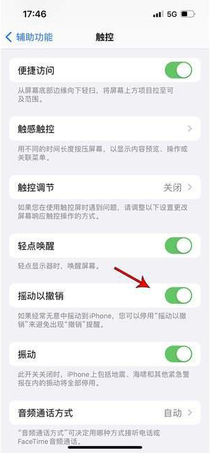 大路镇苹果手机维修分享iPhone手机如何设置摇一摇删除文字 